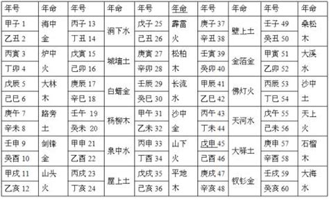 八字 納音|八字纳音算命查询